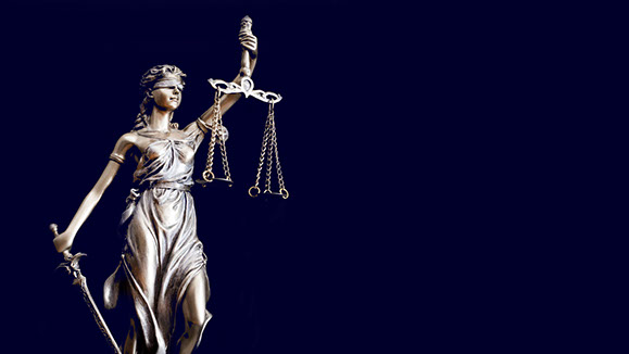 themis  logo